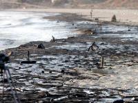 israeli airstrikes hit a lebanese power plant weeks ago. 
up to 35.000 tons of oil polluted the mediterean see. 
lebanon and syria are already affected by the catostrophe. soon the oil will reach tu