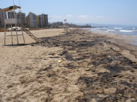 200_oilspill.jpg