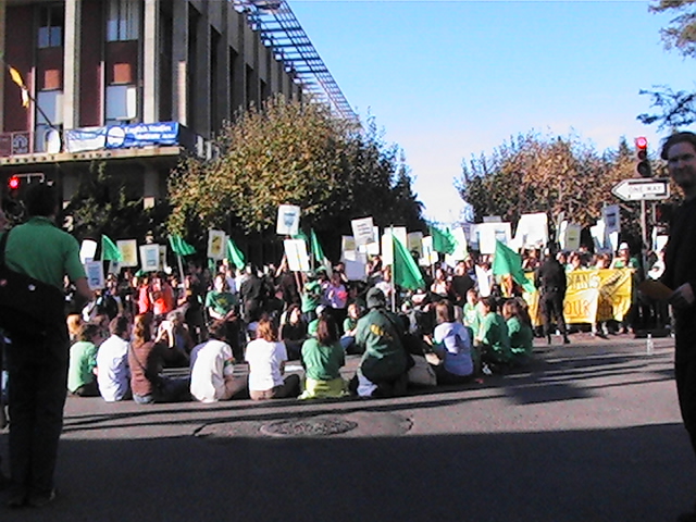 cat-protest-debatell029.jpg 