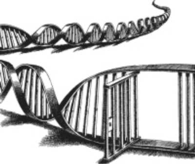 dna-jail-400.jpg 