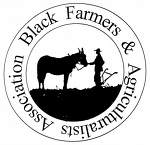 2007 Farm Bill ~ Black Farm Forum Tour begins this weekend in Tillery, North Carolina, home of the National Black Farmers and Agriculturalists Association.  The rate of "Return of Black Farmers" could