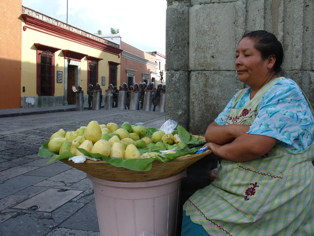 oaxacarebelde001.jpg 