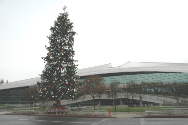600christmastree1.jpg 