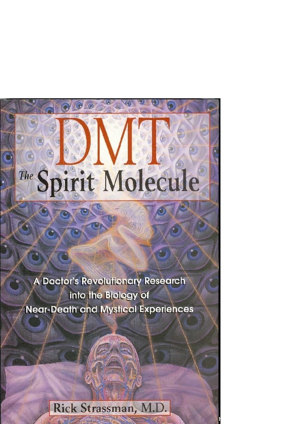 dmt-the-spirit-molecule.-.by.rick.strassman.pdf_600_.jpg
