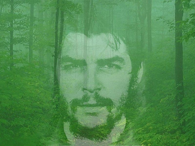 640_ernesto_guevara.jpg 