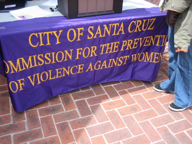 640_citysantacruzcommissionbanner.jpg 