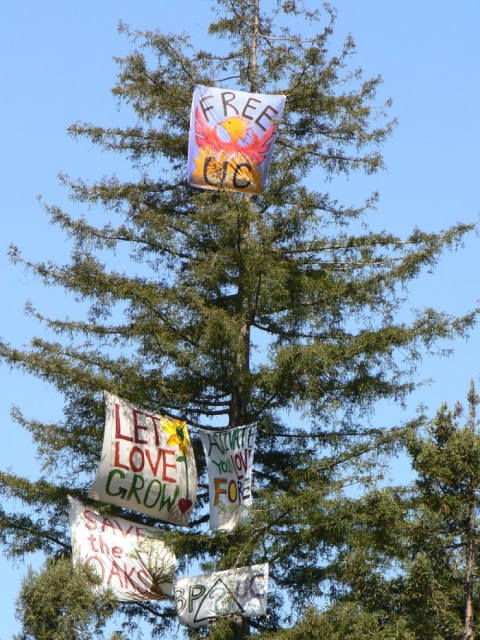 640_signs_in_trees0.jpg 