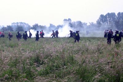 teargas-field02-sm.jpg 