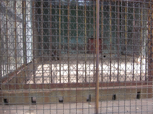 640_monkeycage8.jpg 