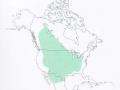 bison_bison_map_320_1.jpg