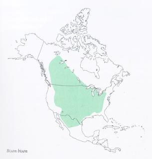bison_bison_map_320_1.jpg 