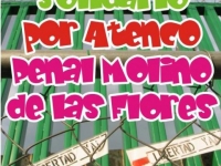 plantonmolinodelasflores_0.preview_1.jpg