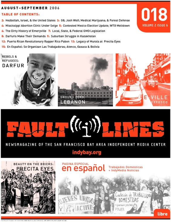 faultlines_18_web.pdf_600_.jpg