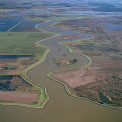 baydelta.jpg 