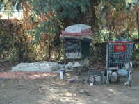 600_new_camp_site.jpg