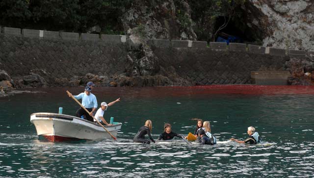 taiji-pilot-whale-slaughter.jpg 