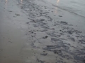 oilbeach.jpg