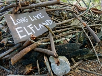 elfland_11-13-07.jpg