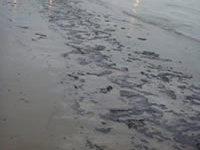 oilbeach.jpg
