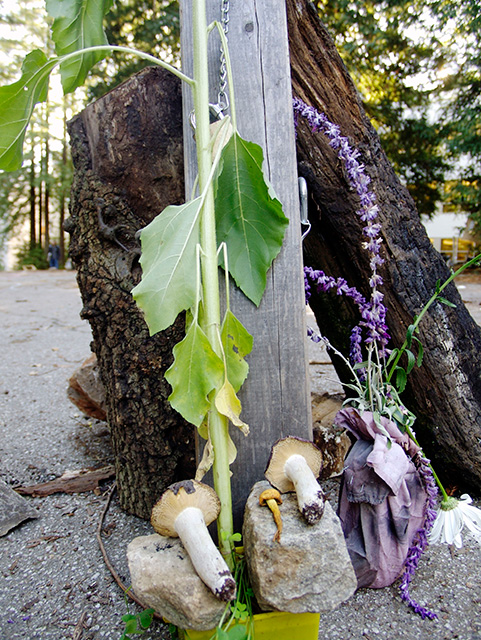 altar_11-13-07.jpg 