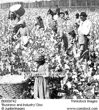 massa_and_slave_in_cotton_field.jpg 