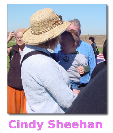 cindy_sheehan.png 