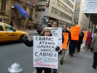200_080112_nyc_picket_cananea_strikers__1_100.jpg