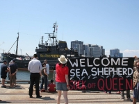 welcome_sea_shepherd_20080202.jpg