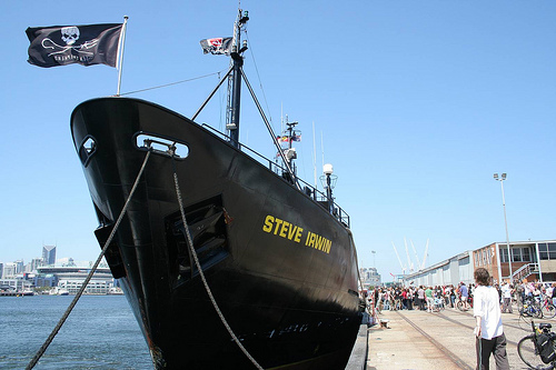 steve_irwin_conservation_pirateship_20080202.jpg 