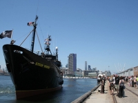 steveirwin_docking_in_melbourne20080202.jpg