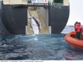 australiancustoms-whalinginthesouthernocean_5sm.jpg