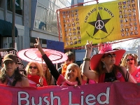 11-bush-lied.jpg