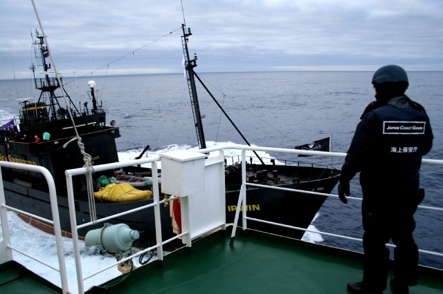 gpandsea-img54.jpg 
