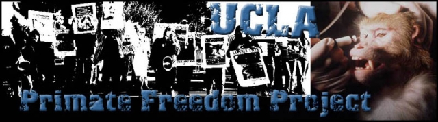 640_ucla-primate-freedom-project.jpg 