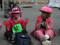 200_codepink.jpg