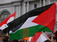 31_palestiniancolors__01529.jpg