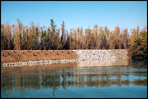 071122prospectisland2.jpg 