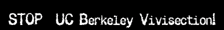 ucberkeleybanner.gif 
