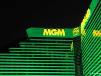mgm_1.jpg
