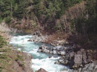 200_cal_salmon_river.jpg