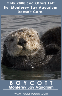 boycott-monterey-bay-aquarium.gif 