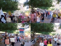 anti-bush_anti-mccain_protest_mesa-phx_5-27-08_4-1_march.jpg