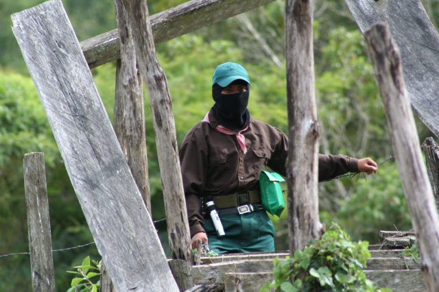 640_ezln2.jpg 