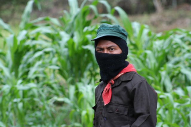 640_ezln5.jpg 