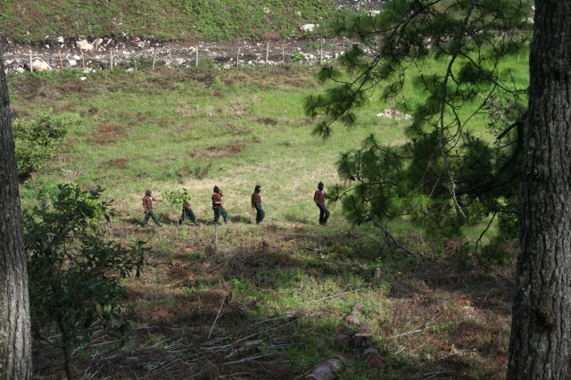640_ezln6.jpg 