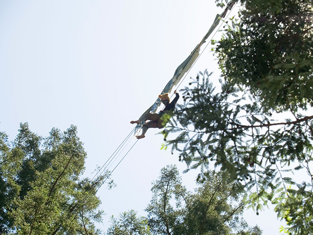 tree-sitter_6-2-08.jpg 