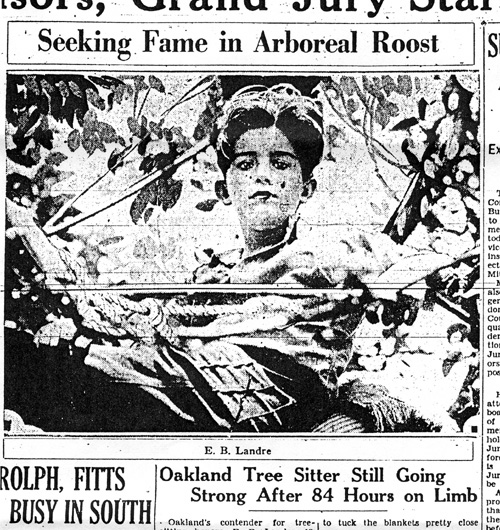 treesitter1930web.jpg 