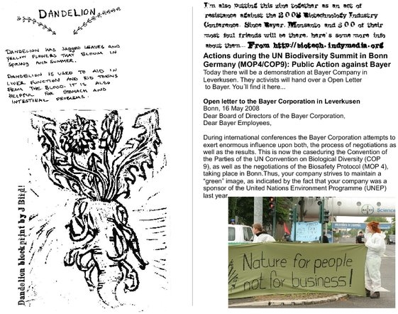 zine_p_3_and_inside_left.pdf_600_.jpg