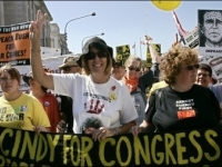 cindy_sheehan_for_congress_1_1_1_1_1_1_1_1_1.jpg