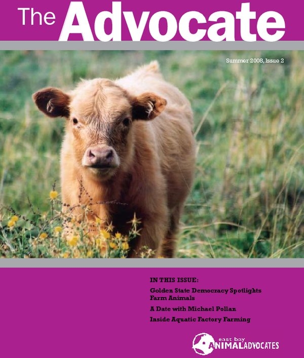 ebaa_adv_spring08_web.pdf_600_.jpg